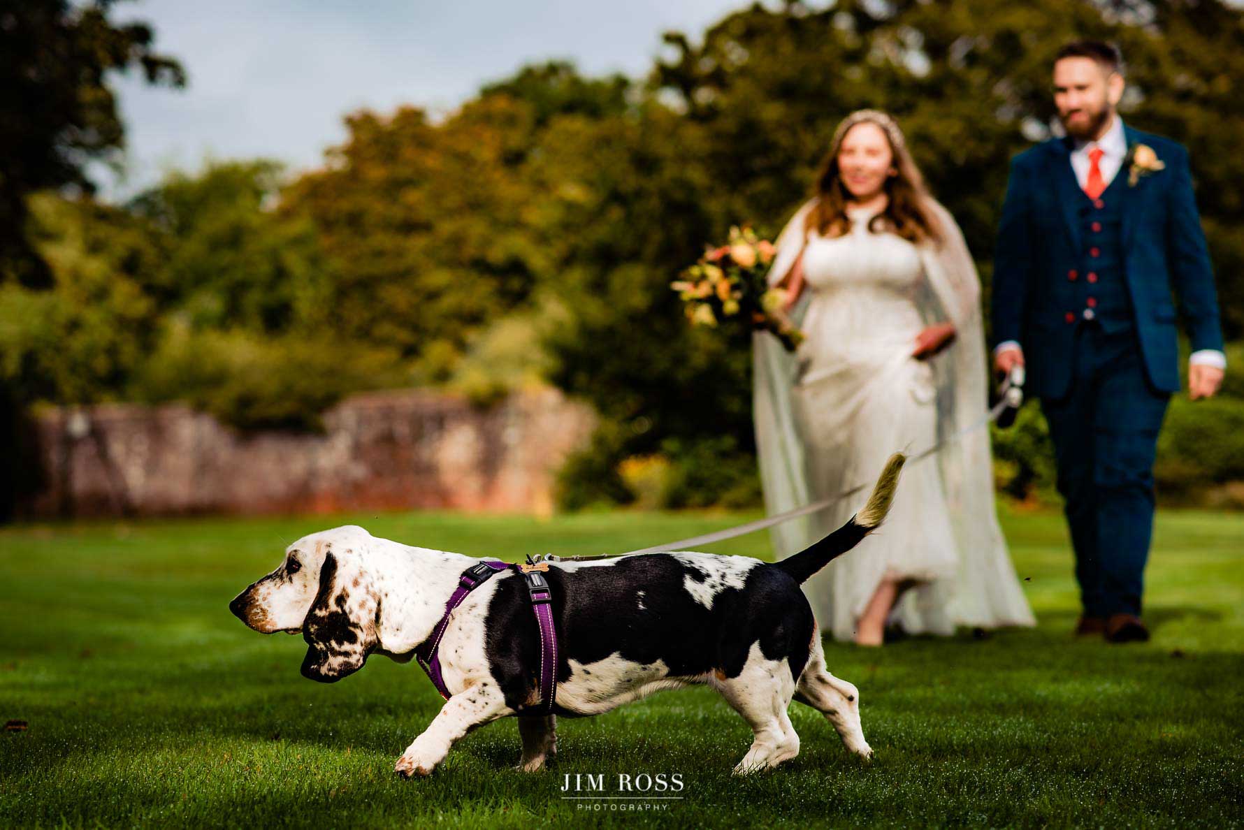 dog of newlyweds steals the show