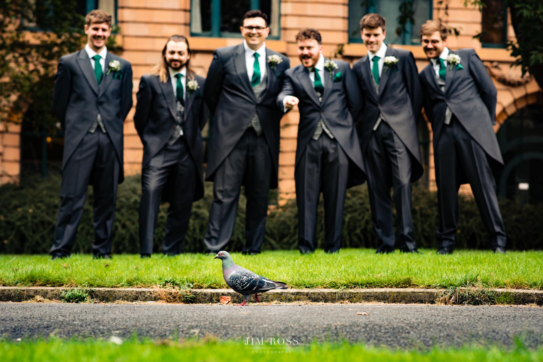 passing pigeon matches groom outfits