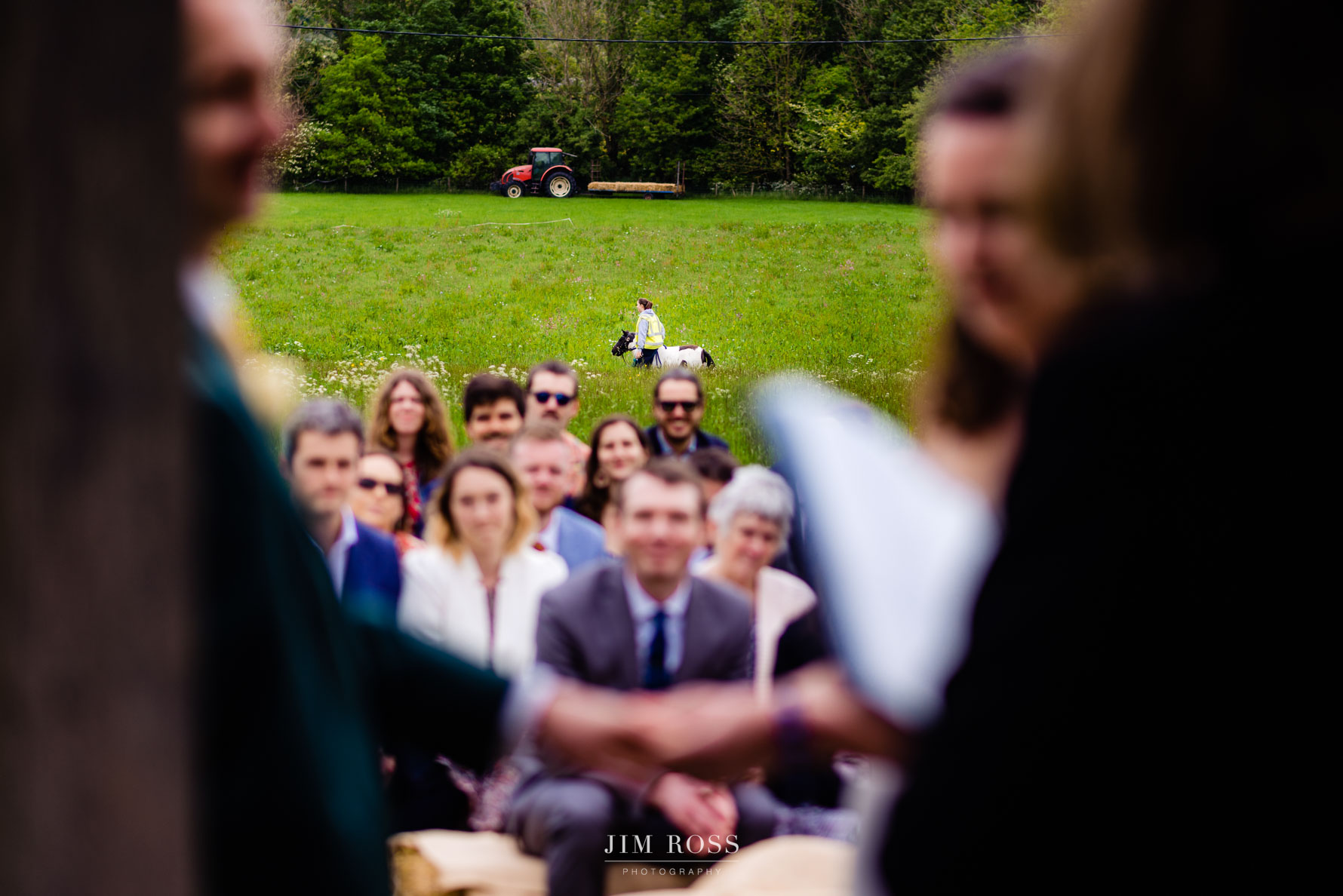 donkey ring bearer spotted approaching in distance behind wedding guests